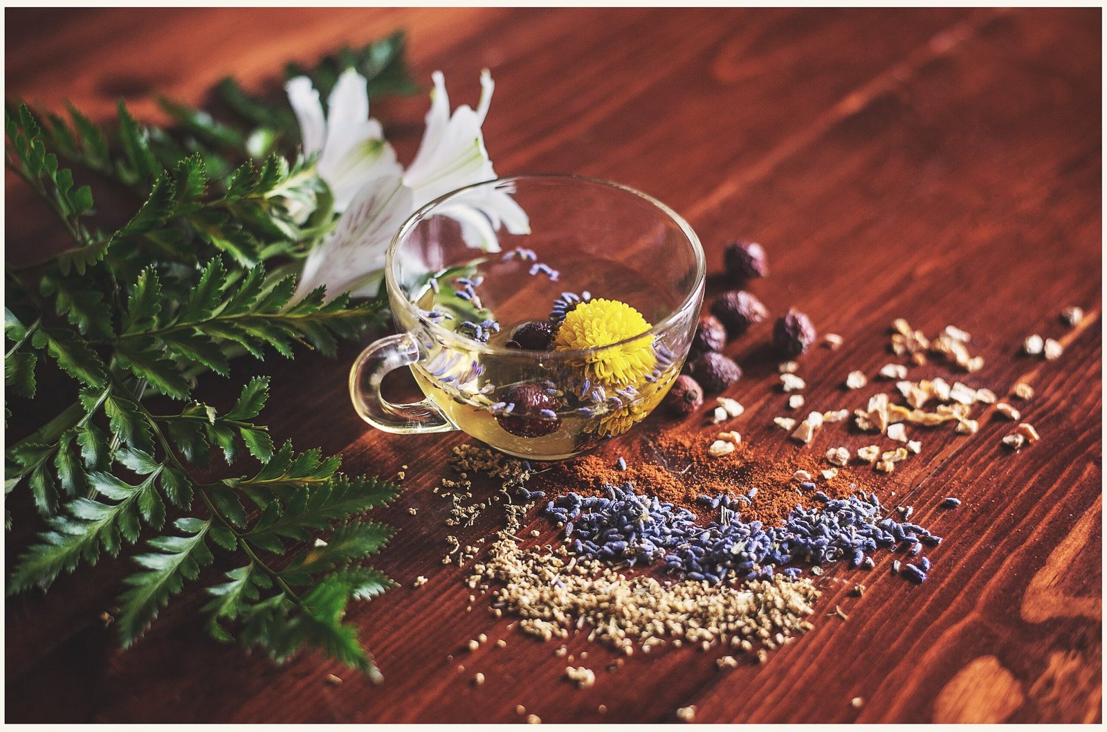 The Power of Herbal Seeds: Unlocking Nature’s Healing Potential